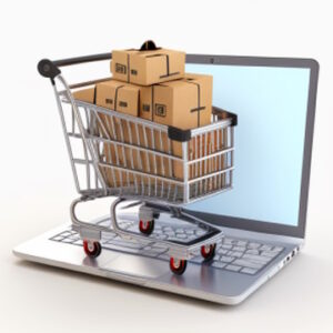 Google Ads eCommerce Case Study